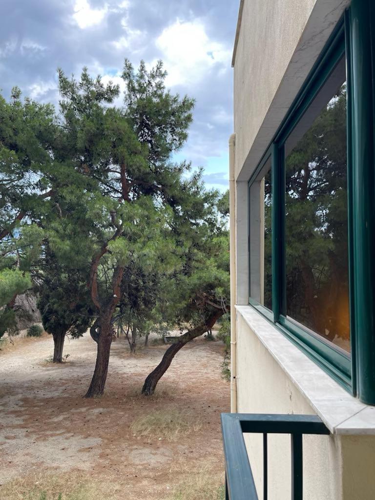 קסאנטי Maria'S Central Apartment מראה חיצוני תמונה